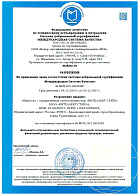 Б04293 Сертификат ISO ИНТЕЛЛЕКТ СТАЙЛ до 2027 - 2